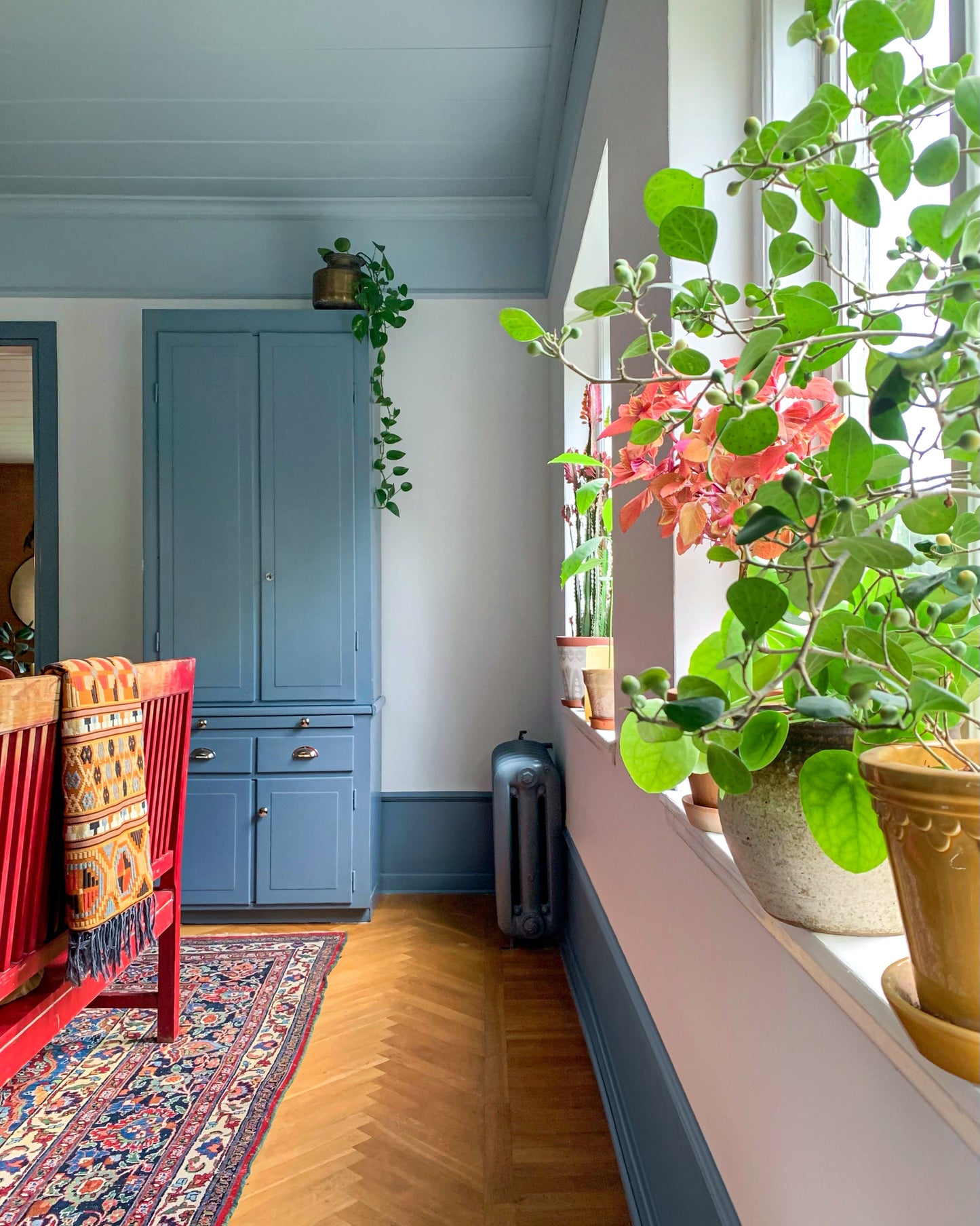 Cornisa de poliestireno DP22