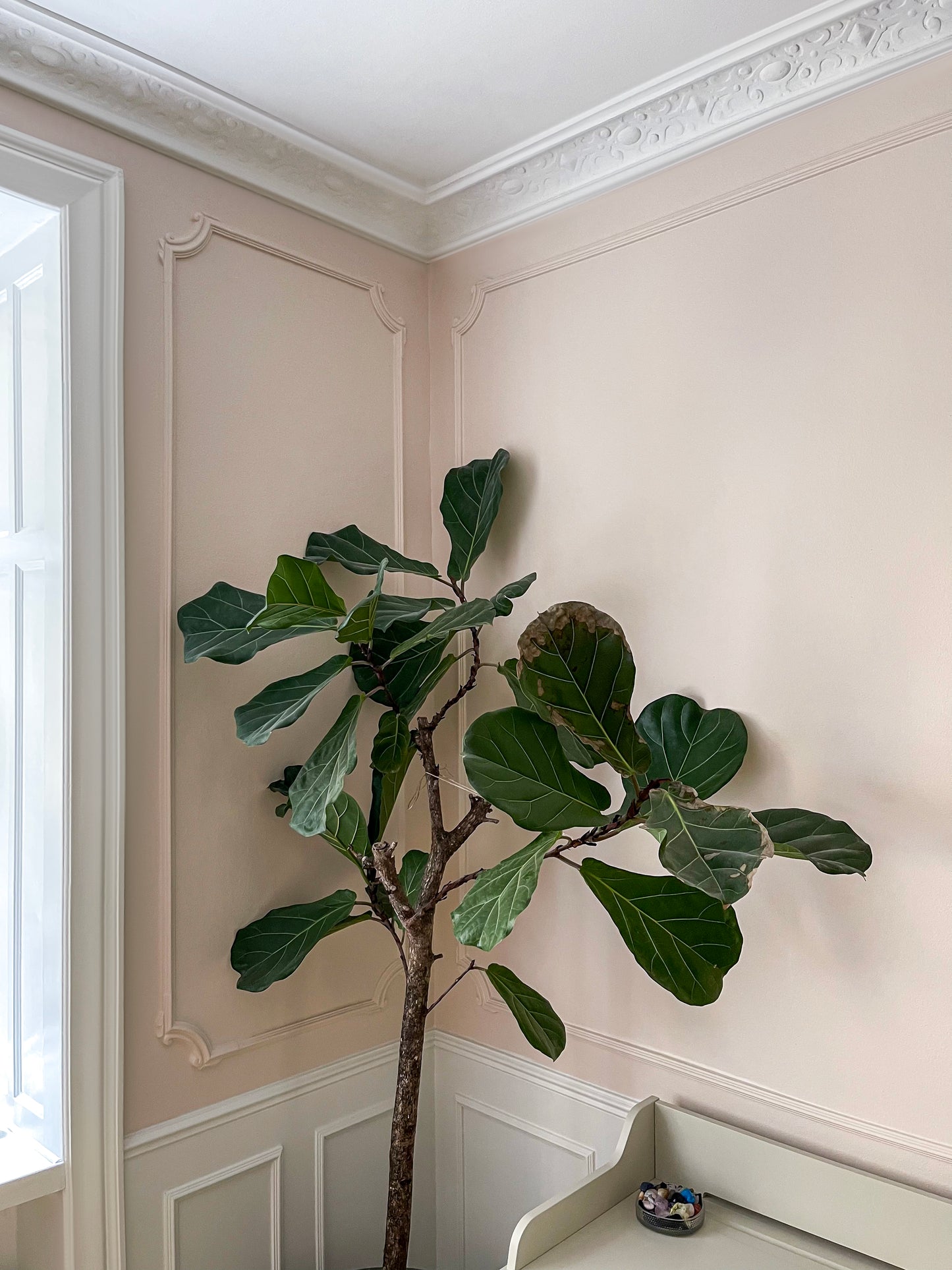 Esquina decorativa HL354-4