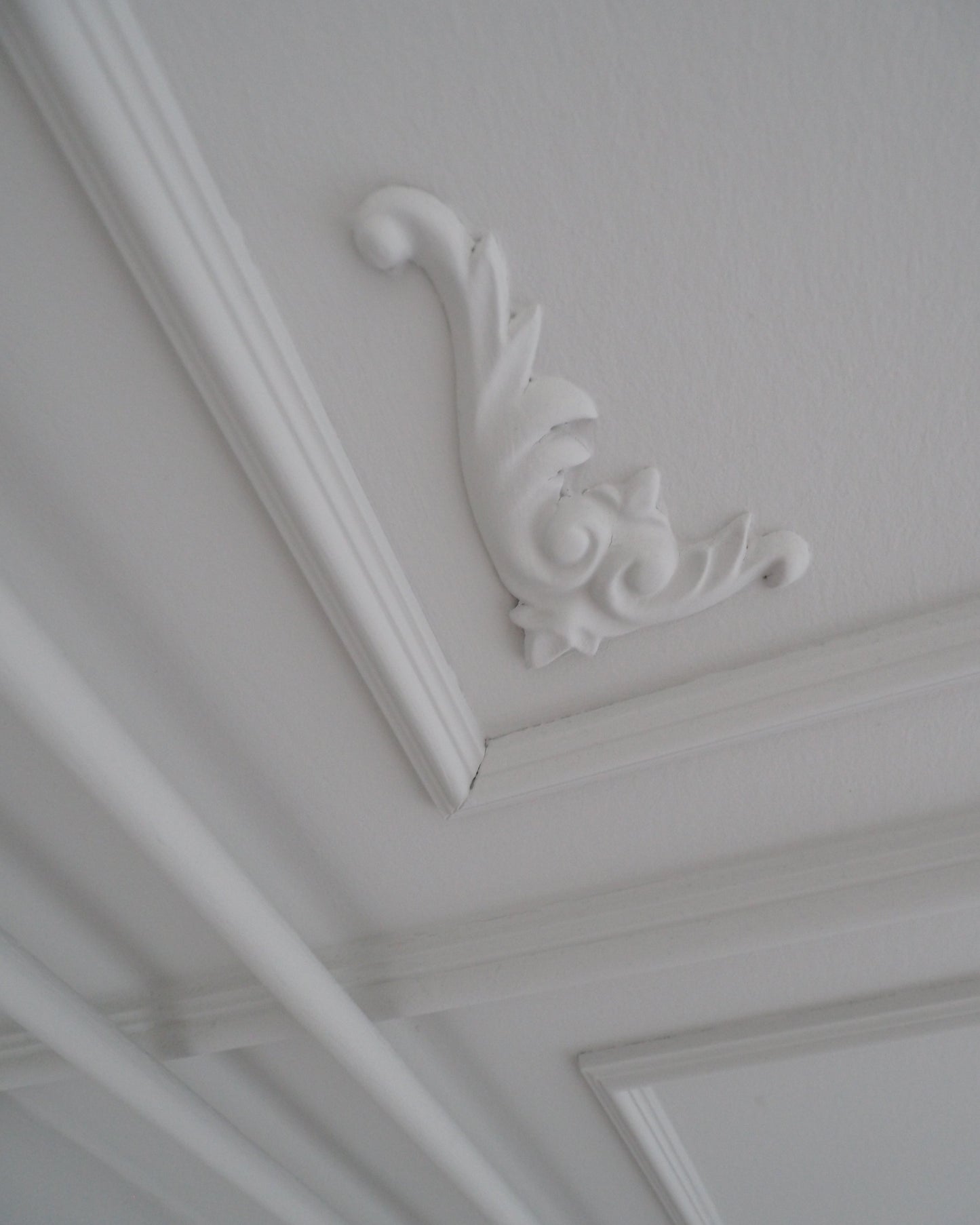 Wall moulding Z354